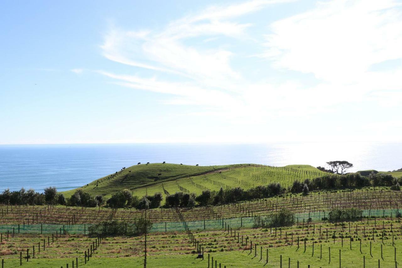 Ferienwohnung Chalets At Okurukuru New Plymouth Exterior foto